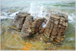 IMG_0002 copy
