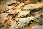IMG_0089 copy