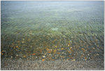 IMG_0097 copy