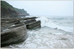 IMG_0204 copy