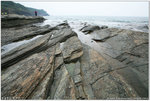 IMG_0261 copy