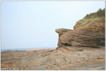 IMG_0294 copy