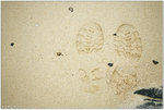 IMG_0608 copy
