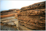 IMG_9928 copy