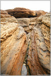 IMG_9945 copy