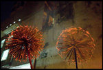 IMG_2736_copy