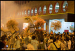 IMG_2795_copy