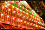 IMG_2856_copy