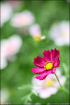 IMG_4543ed