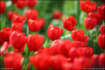 IMG_4610ed