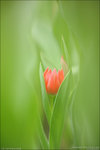 IMG_9617copy