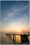 IMG_6728 copy