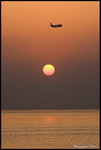 IMG_6744 copy