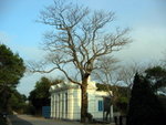 IMG_0195