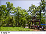 IMG_4813 copy