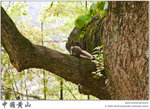 IMG_4814 copy