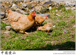 IMG_4855 copy