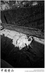 IMG_4883 copy