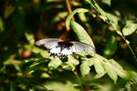 IMG_5624