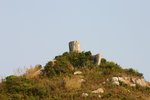 IMG_5694