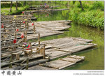 IMG_4485 copy
