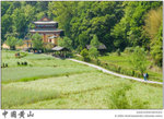 IMG_4504 copy