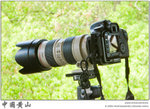 IMG_4512 copy