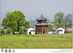 IMG_4554 copy