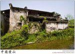 IMG_4664 copy