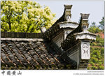 IMG_4773 copy