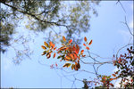 IMG_0041 copy