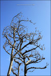 IMG_0057 copy