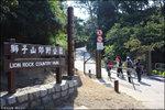 IMG_0071 copy