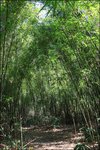 IMG_0077 copyd