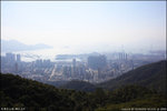 IMG_0087 copy