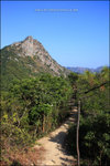 IMG_0184 copy