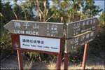 IMG_0242 copy