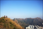 IMG_0243 copy