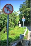 IMG_0659 copy