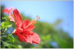 IMG_0664 copy
