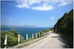 IMG_0773 copy