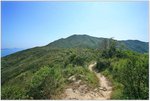 IMG_0860 copy