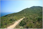 IMG_0880 copy