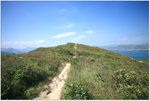 IMG_0883 copy