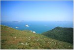 IMG_1020 copy