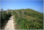 IMG_1033 copy