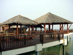 DSC00237