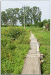 IMG_1544_copy