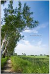 IMG_1604_copy