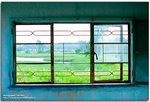 IMG_1675_copy